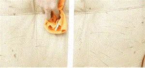 Antibacteriële Schuimreiniger - 1+1 Gratis!