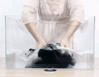 Lisa - Classy Stretch Broek