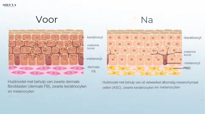 Huid Verhelderende Bodylotion 1+1 Gratis!