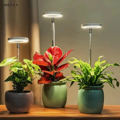 EcoGroei - Duurzame Groeiverlichting - Exclusieve Wintersale!