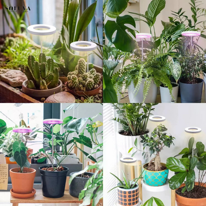 EcoGroei - Duurzame Groeiverlichting - Exclusieve Wintersale!