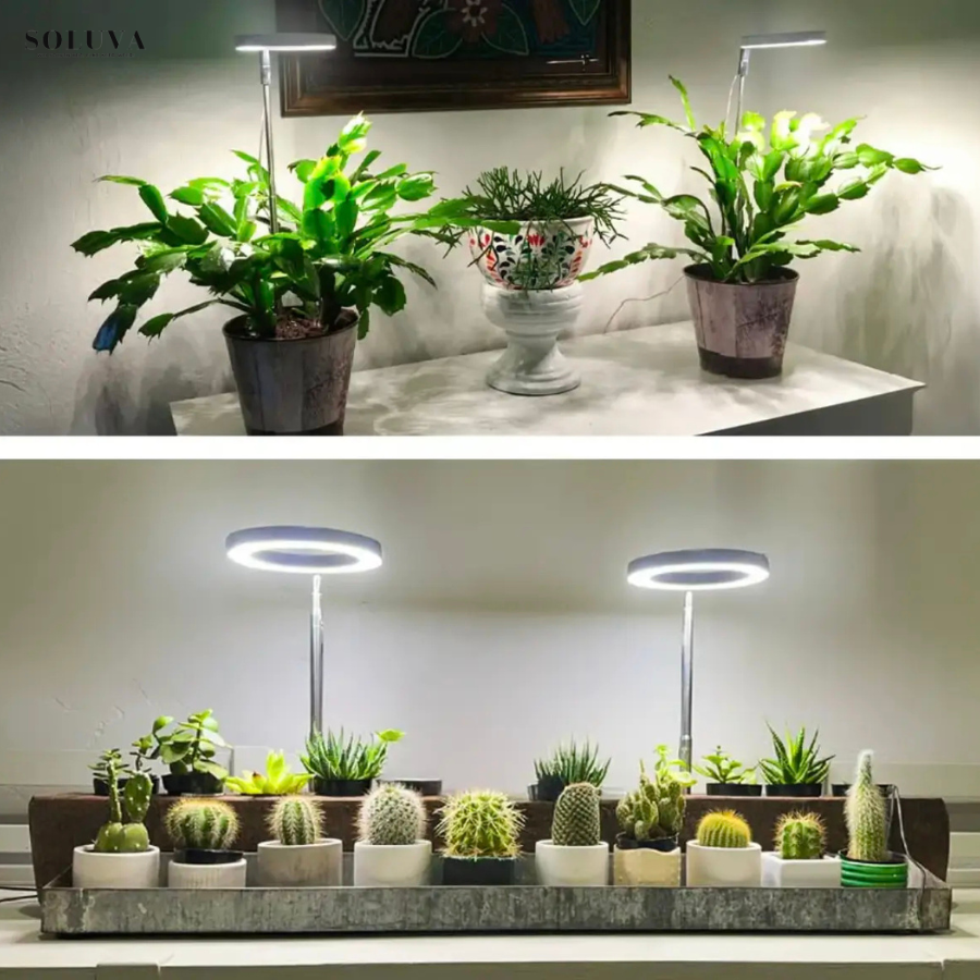 EcoGroei - Duurzame Groeiverlichting - Exclusieve Wintersale!