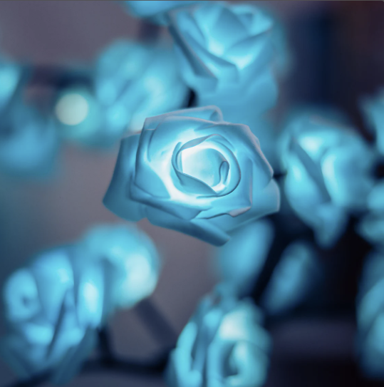 Trendmerce™  | Rozenlamp 40% korting | Het perfecte Moederdag Cadeau |